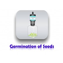 What Seeds Need to Germinate