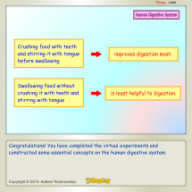 https://www.addestlesson.com/resources/content/products/131003132617_Digestive%20System_E1P5_tn.png